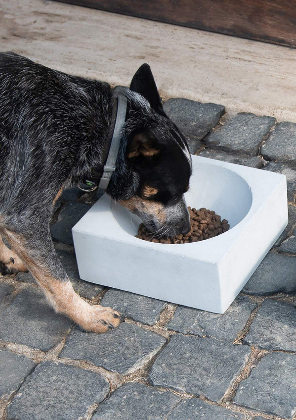 Ciotola Singola Tonda per Animali