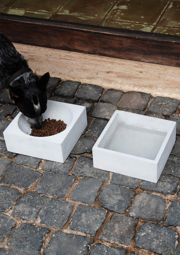 Ciotola Singola Quadrata per Animali
